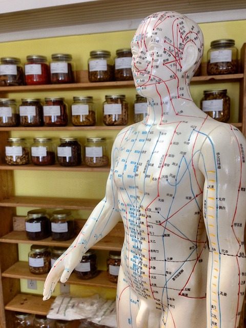 acupuncture 2308489 640