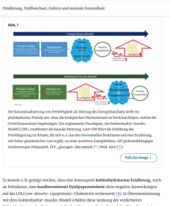 Studie 1 Nahrung