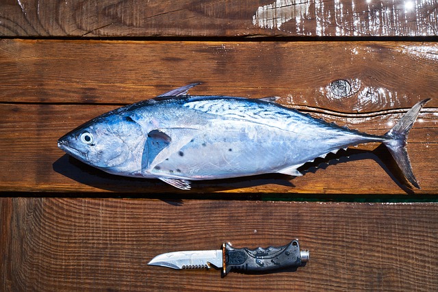 Omega-3 Fettsäuren