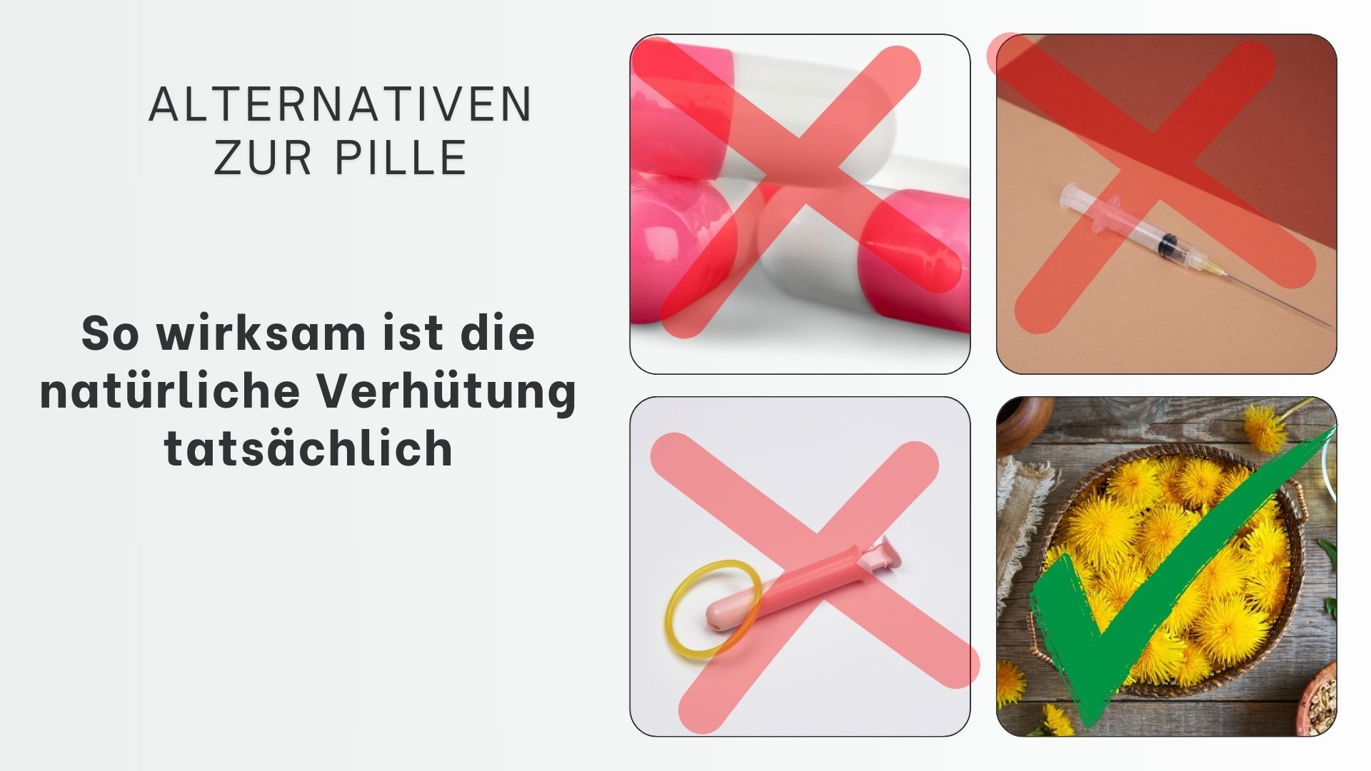 Pflanzliche Alternativen zur Pille